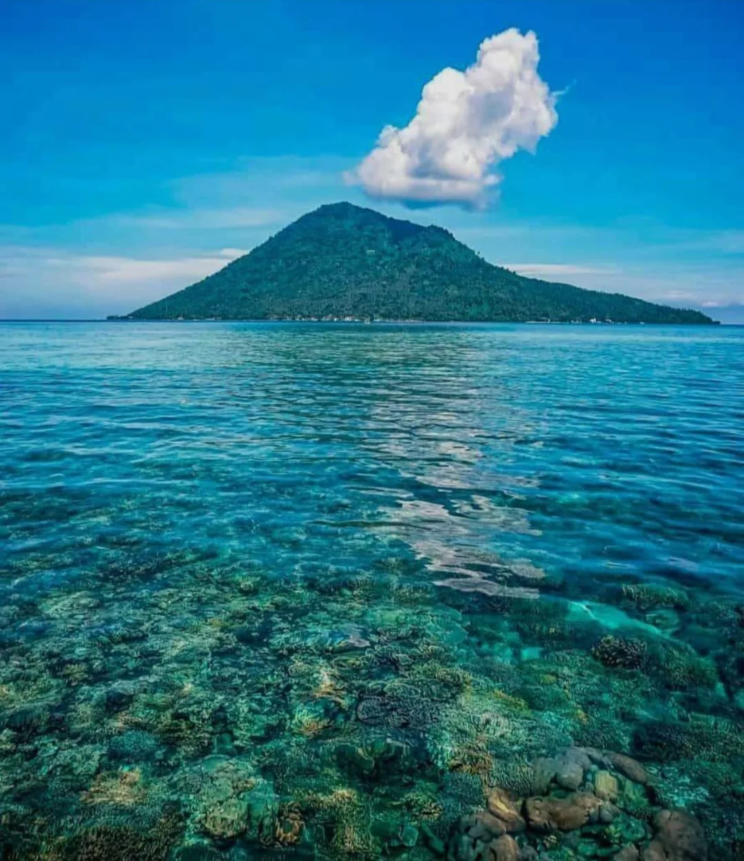 Bunaken Blue Crew